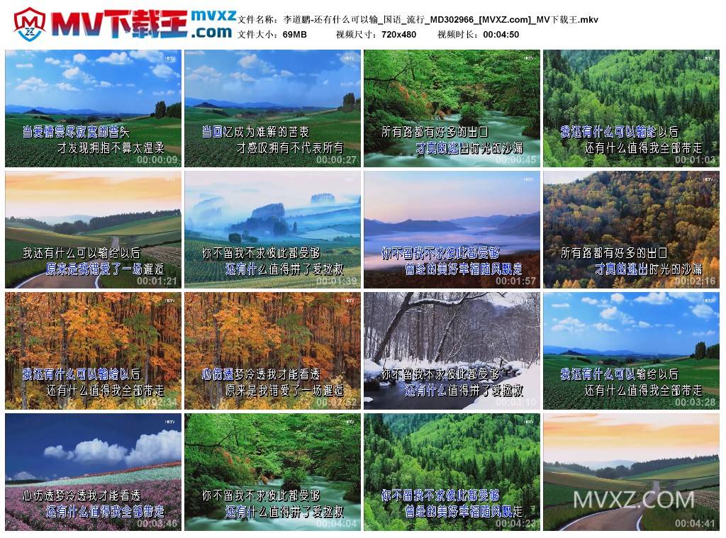 李道鹏-还有什么可以输_国语_流行_MD302966